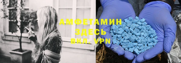 индика Алексин