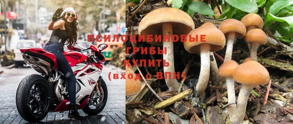 молекула духа Абинск