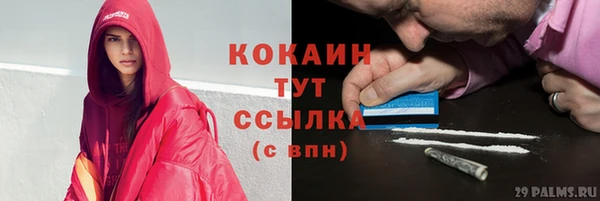 молекула духа Абинск