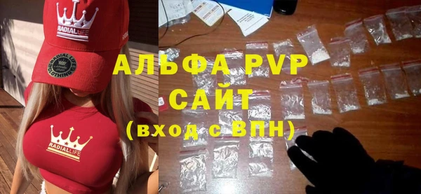 индика Алексин