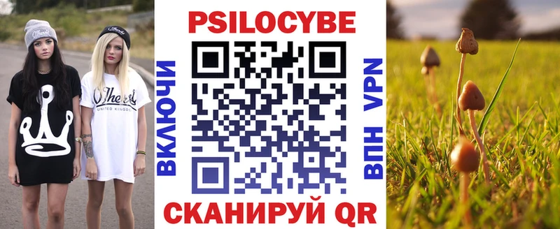 Псилоцибиновые грибы Cubensis  mega как зайти  Плавск 